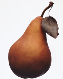 PEAR-4193